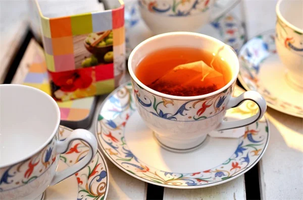 失敗しない！上中西部の厳寒地で育てる常緑低木の選び方と育て方完全ガイド