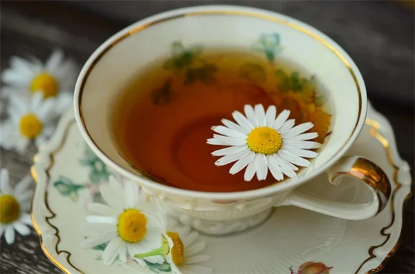 3月に種まきできる花8選！初心者でも失敗しない育て方のコツ