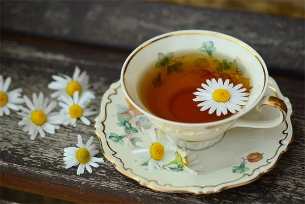 USDAゾーン10で育てるべき植物10選 | 庭を華やかにするおすすめリスト