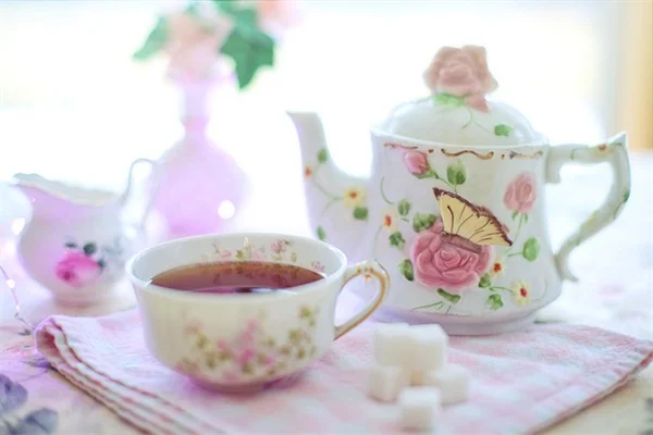 秋の土作りで春の庭が激変！たったこれだけの簡単準備